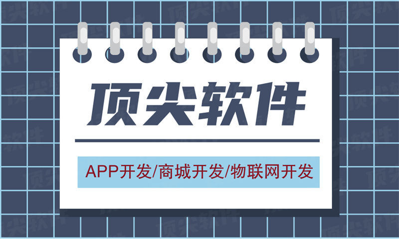 选择专业的IT人力外包服务，让您的软件项目更安心！